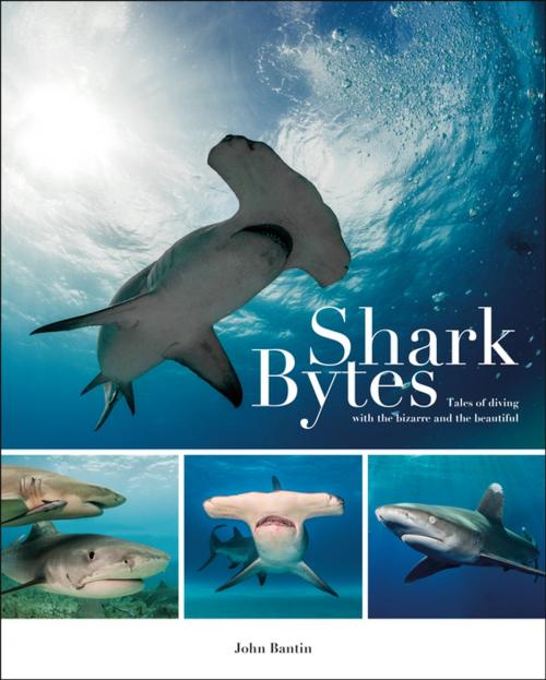 Cover of the book Shark Bytes by John Bantin, Fernhurst Books Limited