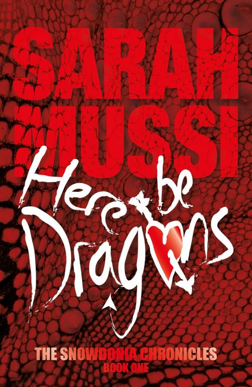 Cover of the book Here Be Dragons by Sarah Mussi, Vertebrate Publishing