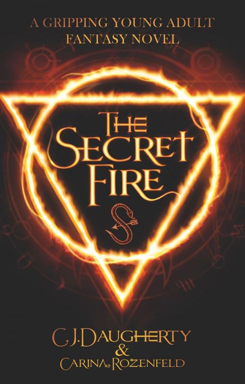 Cover of the book The Secret Fire by C.J. Daugherty, Carina Rozenfeld, Bookouture