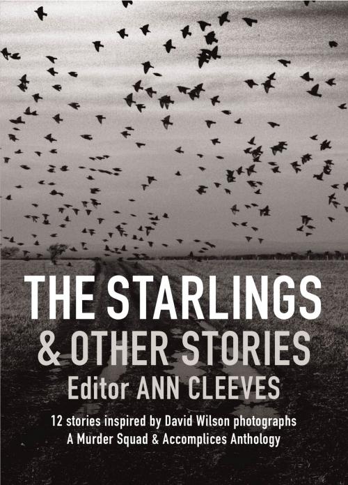 Cover of the book The Starlings & Other Stories by Cath Staincliffe, Martin Edwards, Graffeg Limited
