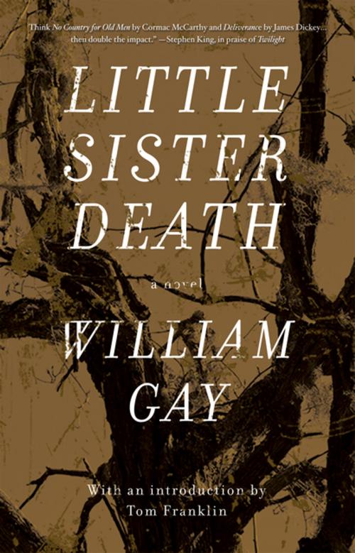 Cover of the book Little Sister Death by William Gay, Dzanc Books