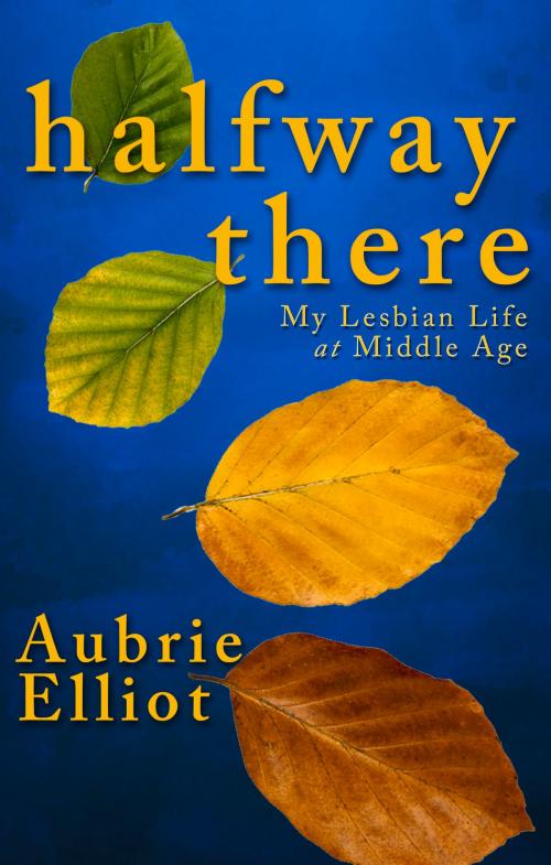 Cover of the book Halfway There by Aubrie Elliot, Amphorae Publishing Group, LLC