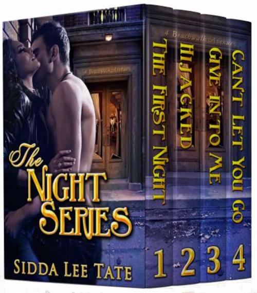 Cover of the book The Night Series Box Set by Sidda Lee Tate, Beachwalk Press, Inc.