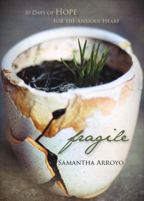Cover of the book Fragile by Samantha Arroyo, Clovercroft Publishing