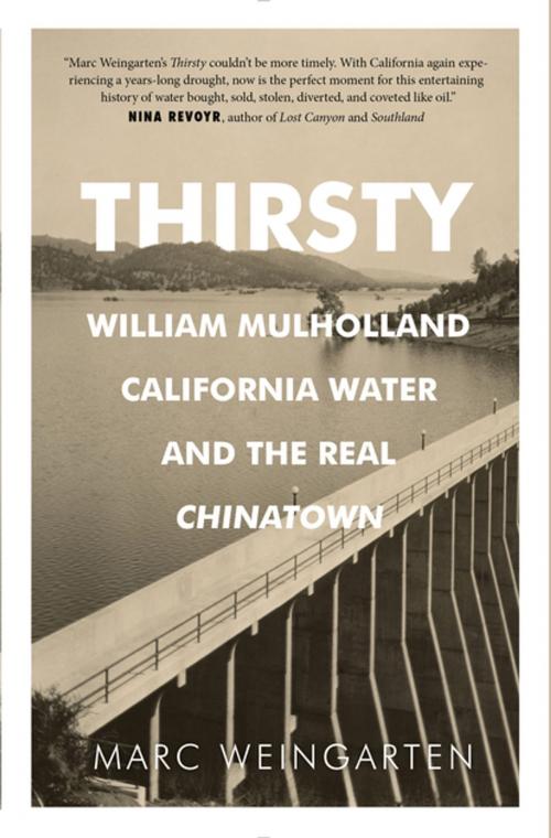 Cover of the book Thirsty by Marc Weingarten, Rare Bird Books