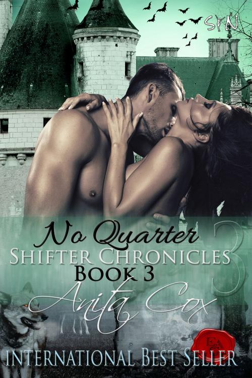 Cover of the book No Quarter by Anita Cox, Syn Publishing, LLC.