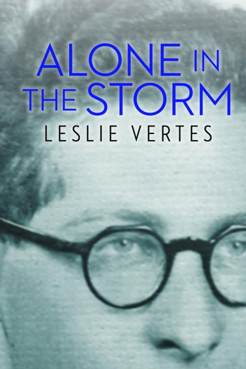 Cover of the book Alone in the Storm by Leslie Vertes, The Azrieli Foundation