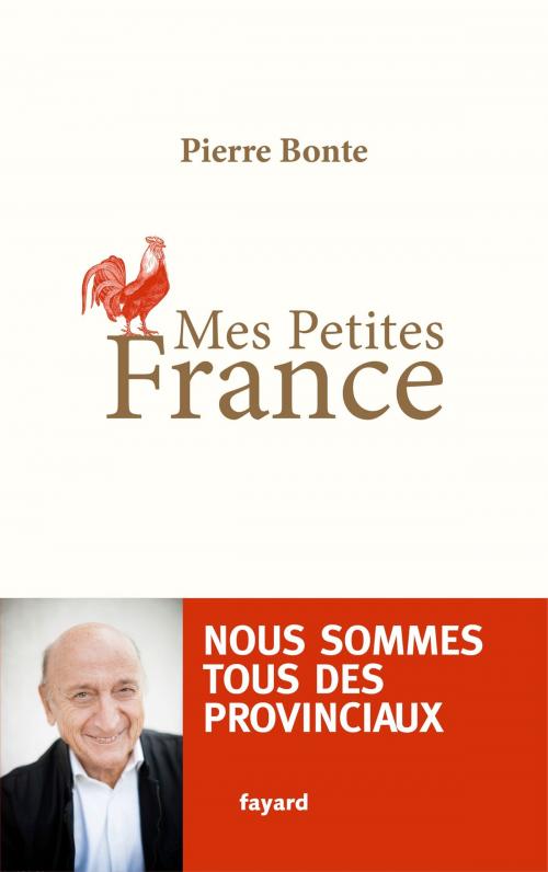 Cover of the book Mes petites France by Pierre Bonte, Fayard