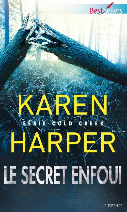 Cover of the book Le secret enfoui by Karen Harper, Harlequin