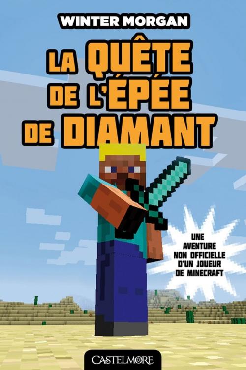 Cover of the book La Quête de l'épée de diamant by Winter Morgan, Milady