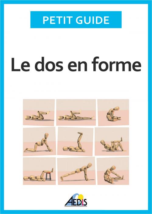 Cover of the book Le dos en forme by Petit Guide, Pierre Siou, Éditions Aedis