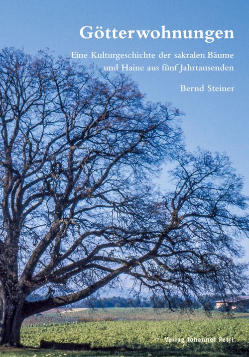 Cover of the book Götterwohnungen by Bernd Steiner, Verlag Johannes Petri