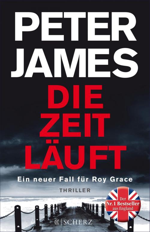 Cover of the book Die Zeit läuft by Peter James, FISCHER E-Books