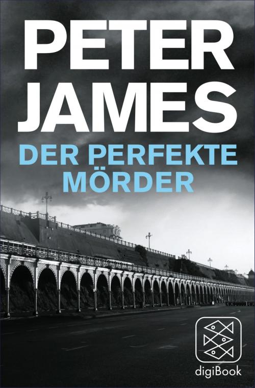 Cover of the book Der perfekte Mörder by Peter James, FISCHER digiBook