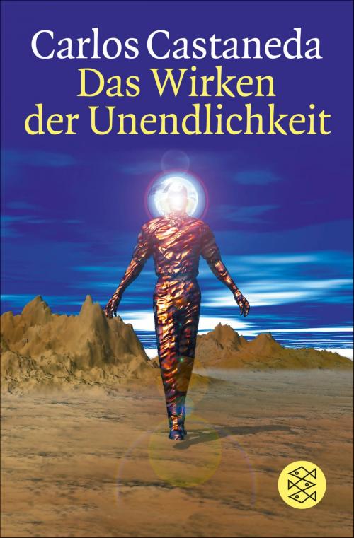 Cover of the book Das Wirken der Unendlichkeit by Carlos Castaneda, FISCHER E-Books