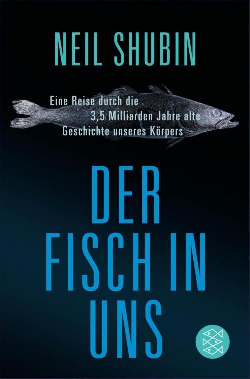 Cover of the book Der Fisch in uns by Neil Shubin, FISCHER E-Books