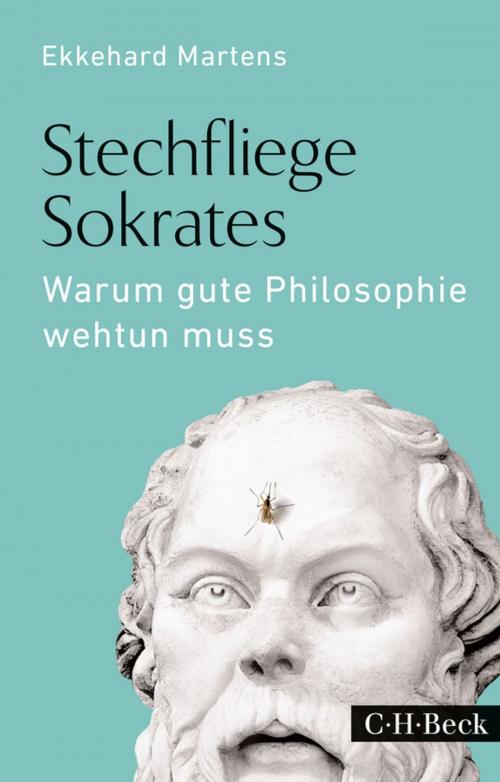 Cover of the book Stechfliege Sokrates by Ekkehard Martens, C.H.Beck