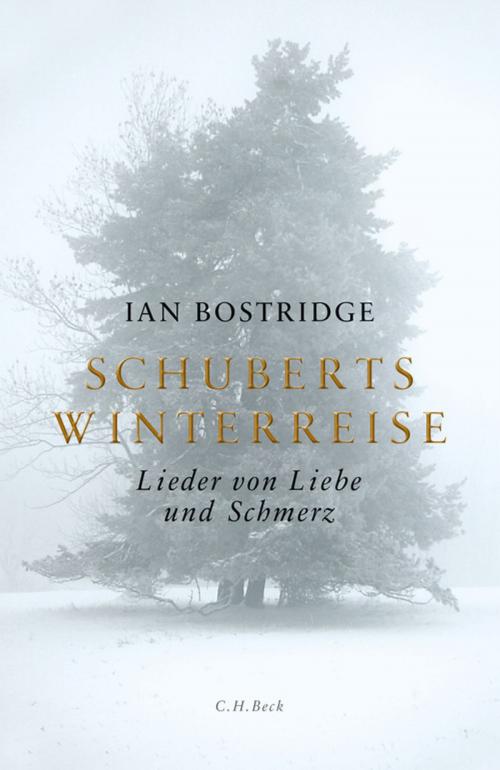 Cover of the book Schuberts Winterreise by Ian Bostridge, C.H.Beck