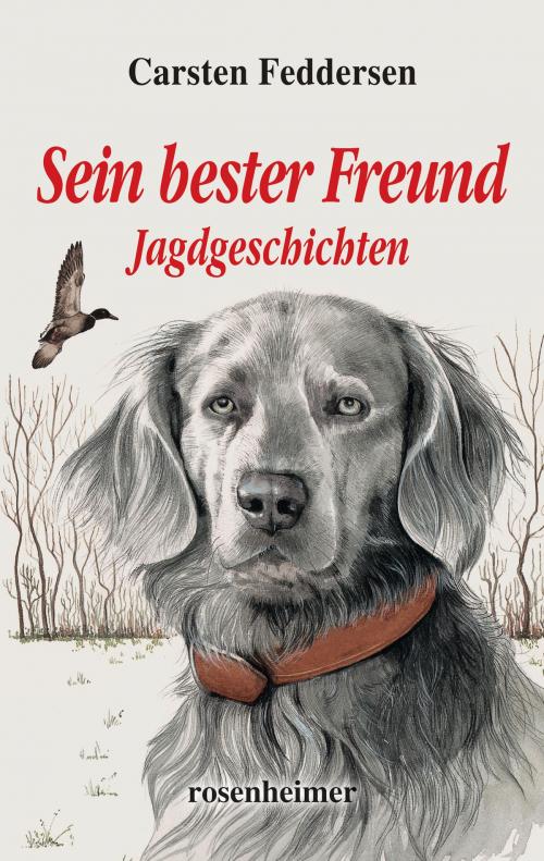 Cover of the book Sein bester Freund - Jagdgeschichten by Carsten Feddersen, Rosenheimer Verlagshaus
