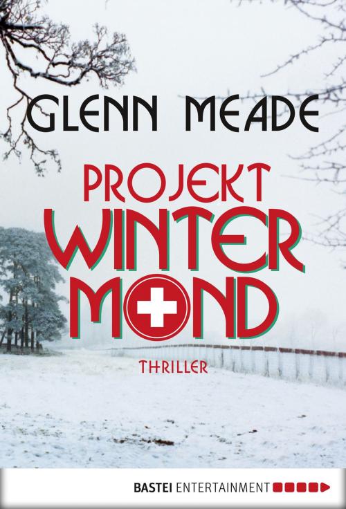 Cover of the book Projekt Wintermond by Glenn Meade, Bastei Entertainment