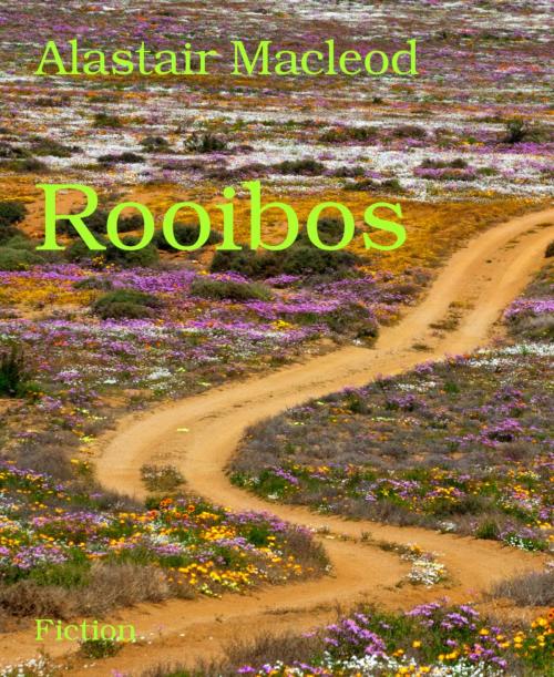 Cover of the book Rooibos by Alastair Macleod, BookRix