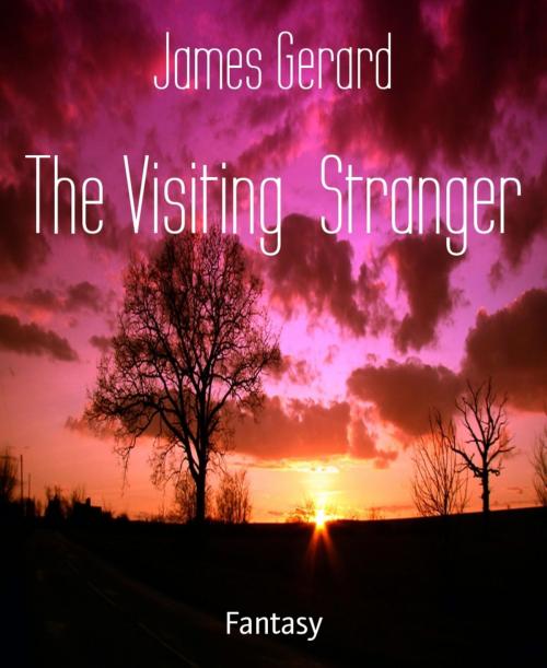 Cover of the book The Visiting Stranger by James Gerard, BookRix