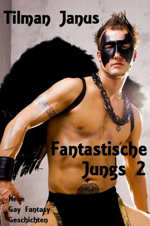 Cover of the book Fantastische Jungs 2 by Tilman Janus, neobooks