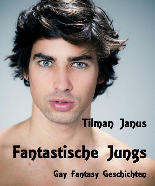 Cover of the book Fantastische Jungs by Tilman Janus, neobooks