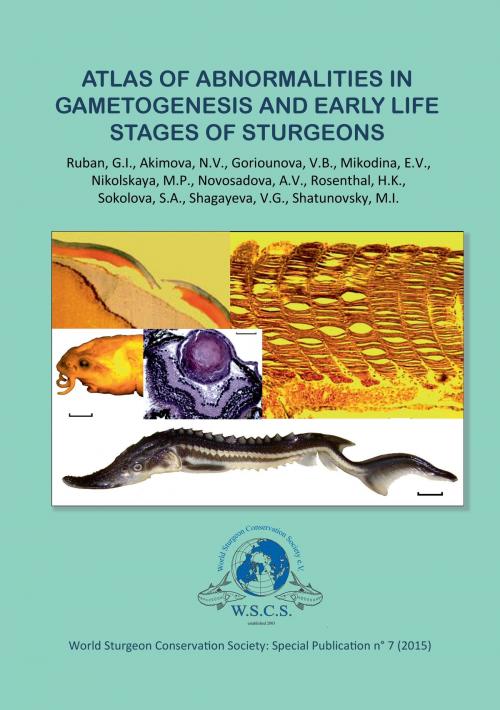 Cover of the book Atlas of abnormalities in gametogenies and early life stages of sturgeons by , Books on Demand