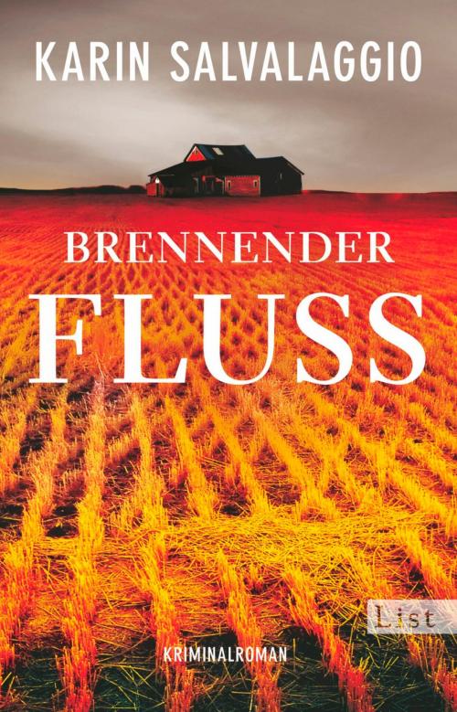 Cover of the book Brennender Fluss by Karin Salvalaggio, Ullstein Ebooks