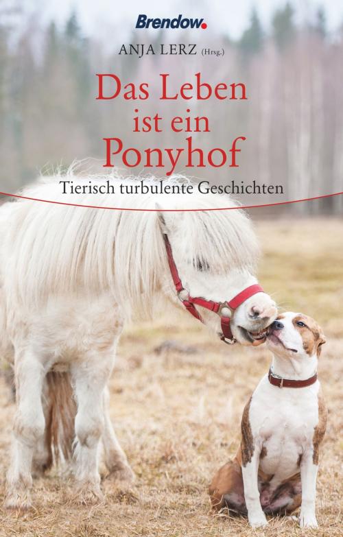 Cover of the book Das Leben ist ein Ponyhof by Anja Lerz, Brendow, J