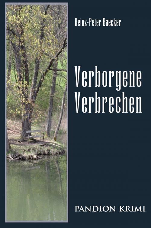 Cover of the book Verborgene Verbrechen: Hunsrück-Krimi-Reihe Band IX by Heinz-Peter Baecker, Pandion Verlag