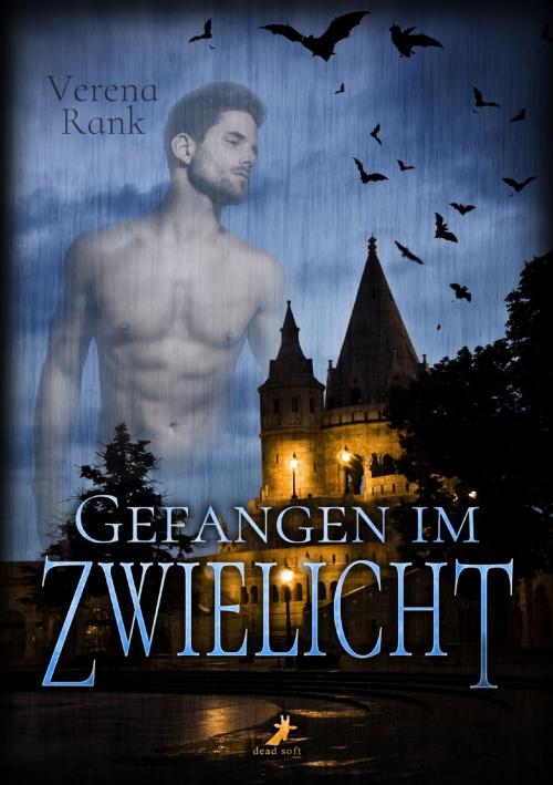 Cover of the book Gefangen im Zwielicht by Verena Rank, dead soft verlag