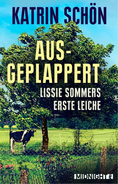 Cover of the book Ausgeplappert by Katrin Schön, Midnight