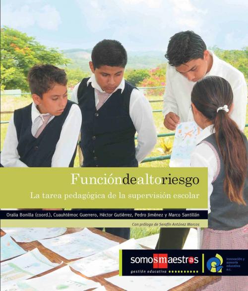 Cover of the book Función de alto riesgo by Oralia Bonilla Pedroza, Cuauhtémoc Guerrero, Héctor Gutiérrez, Pédro Jiménez, Marco Santillán, Serafín Antúnez Marcos, Ediciones SM