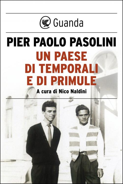 Cover of the book Un paese di temporali e di primule by Pier Paolo Pasolini, Guanda