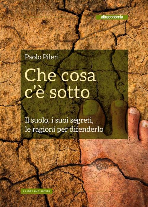 Cover of the book Che cosa c'è sotto by Paolo Pileri, Altreconomia
