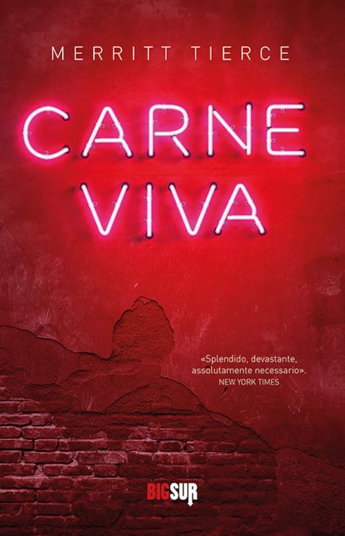 Cover of the book Carne viva by Merritt Tierce, SUR