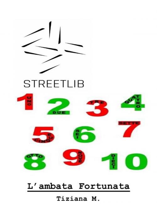 Cover of the book L'Ambata Fortunata by Tiziana M., Tiziana M.
