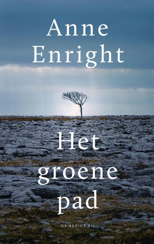 Cover of the book Het groene pad by Anne Enright, Bezige Bij b.v., Uitgeverij De