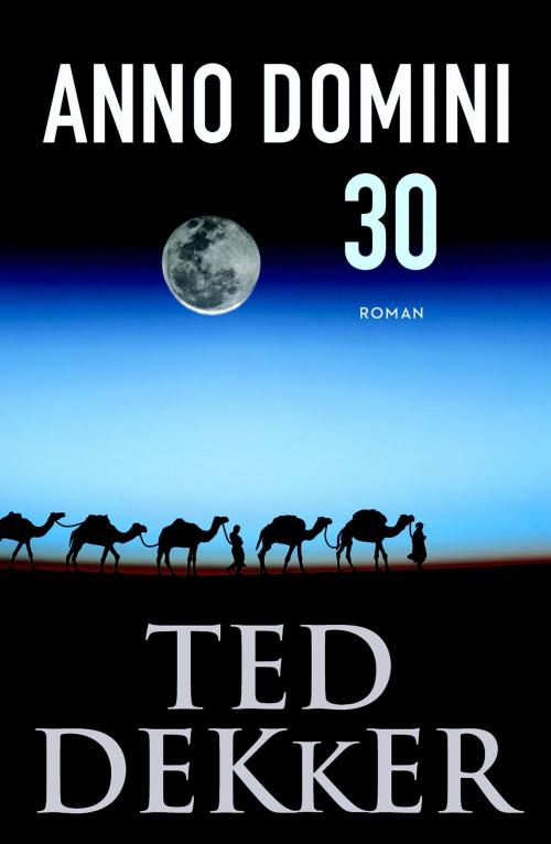 Cover of the book Anno Domini 30 by Ted Dekker, VBK Media