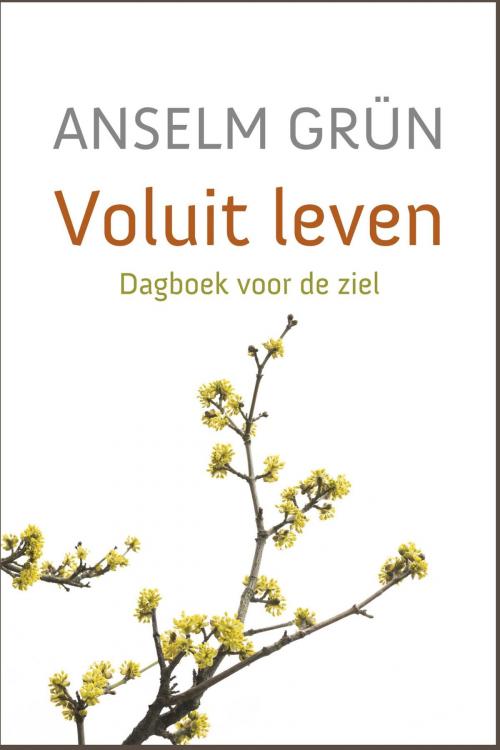 Cover of the book Voluit leven by Anselm Grün, VBK Media