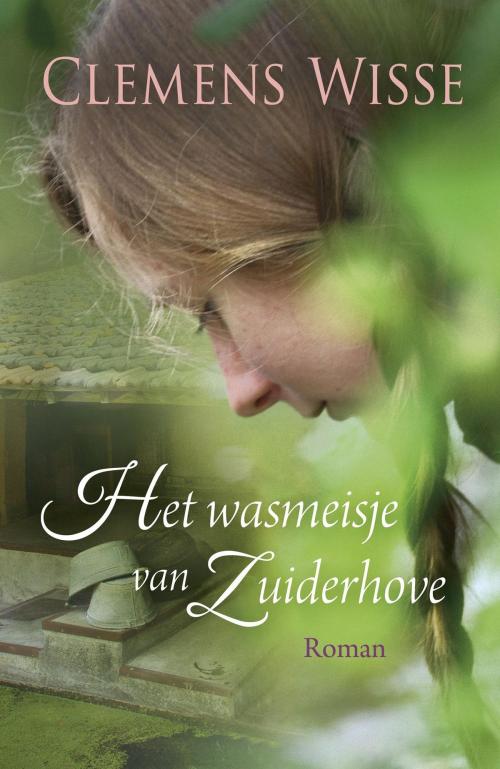 Cover of the book Het wasmeisje van Zuiderhove by Clemens Wisse, VBK Media