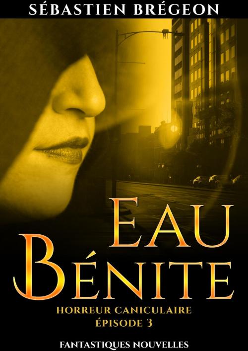 Cover of the book Eau bénite by Sébastien Brégeon, Sébastien Brégeon