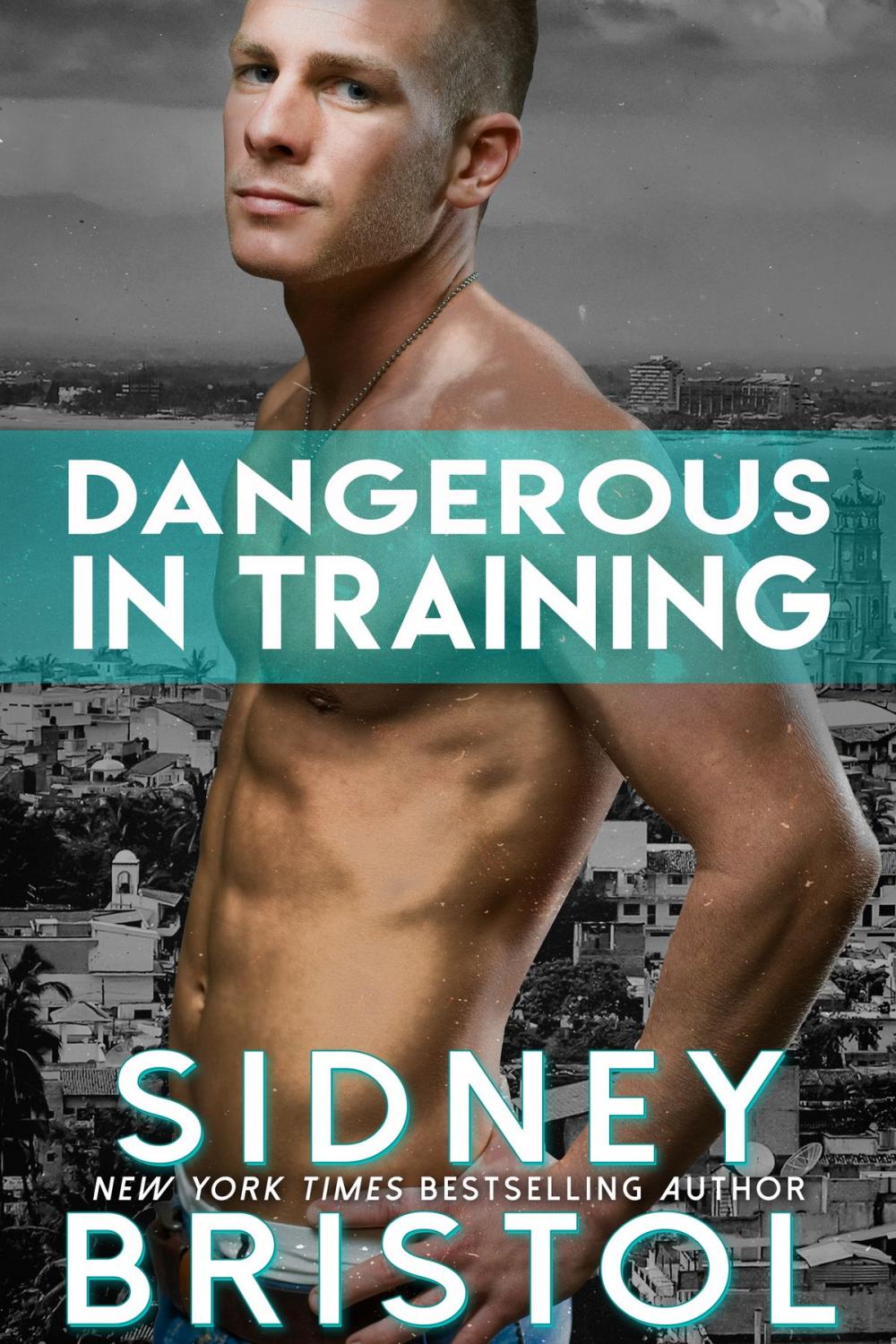 Big bigCover of Dangerous in Training
