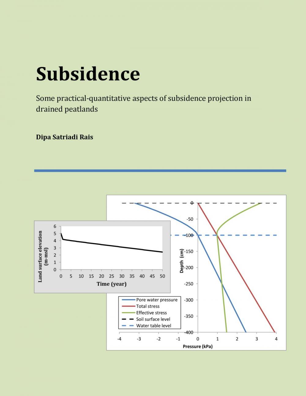 Big bigCover of Subsidence