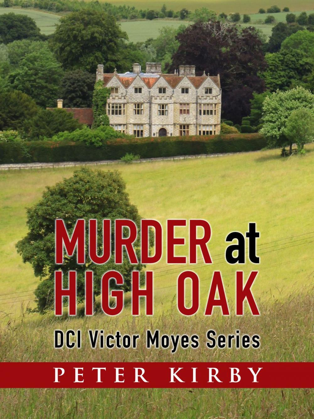 Big bigCover of Murder At High Oak