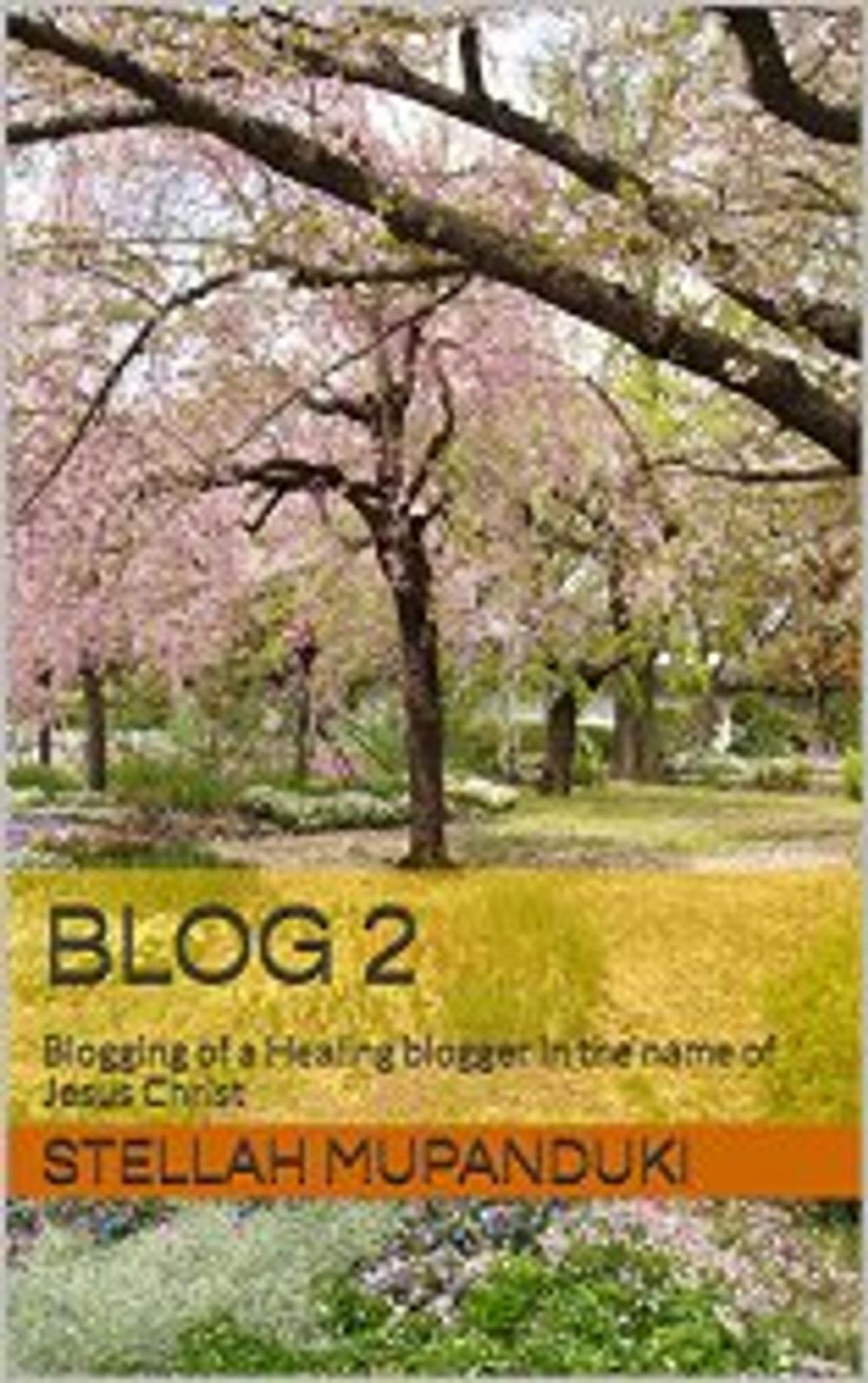 Big bigCover of Blog 2
