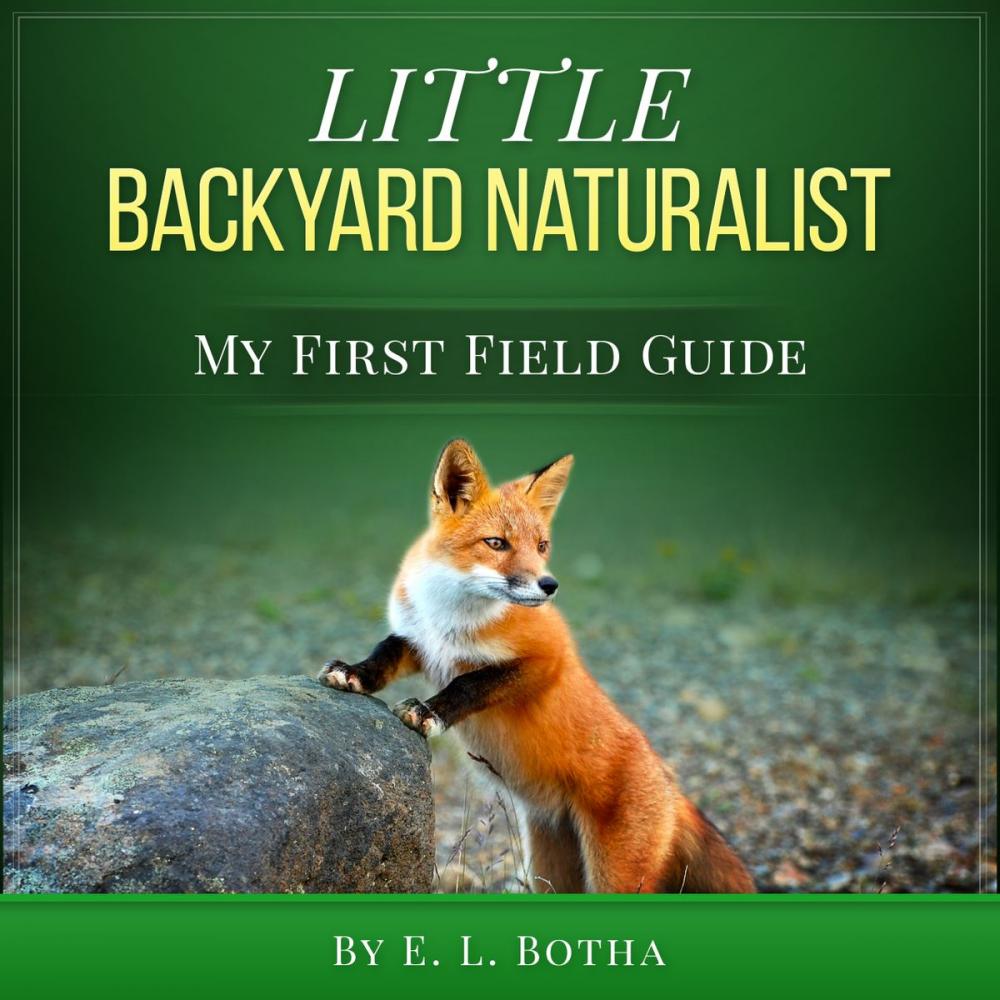 Big bigCover of Little Backyard Naturalist