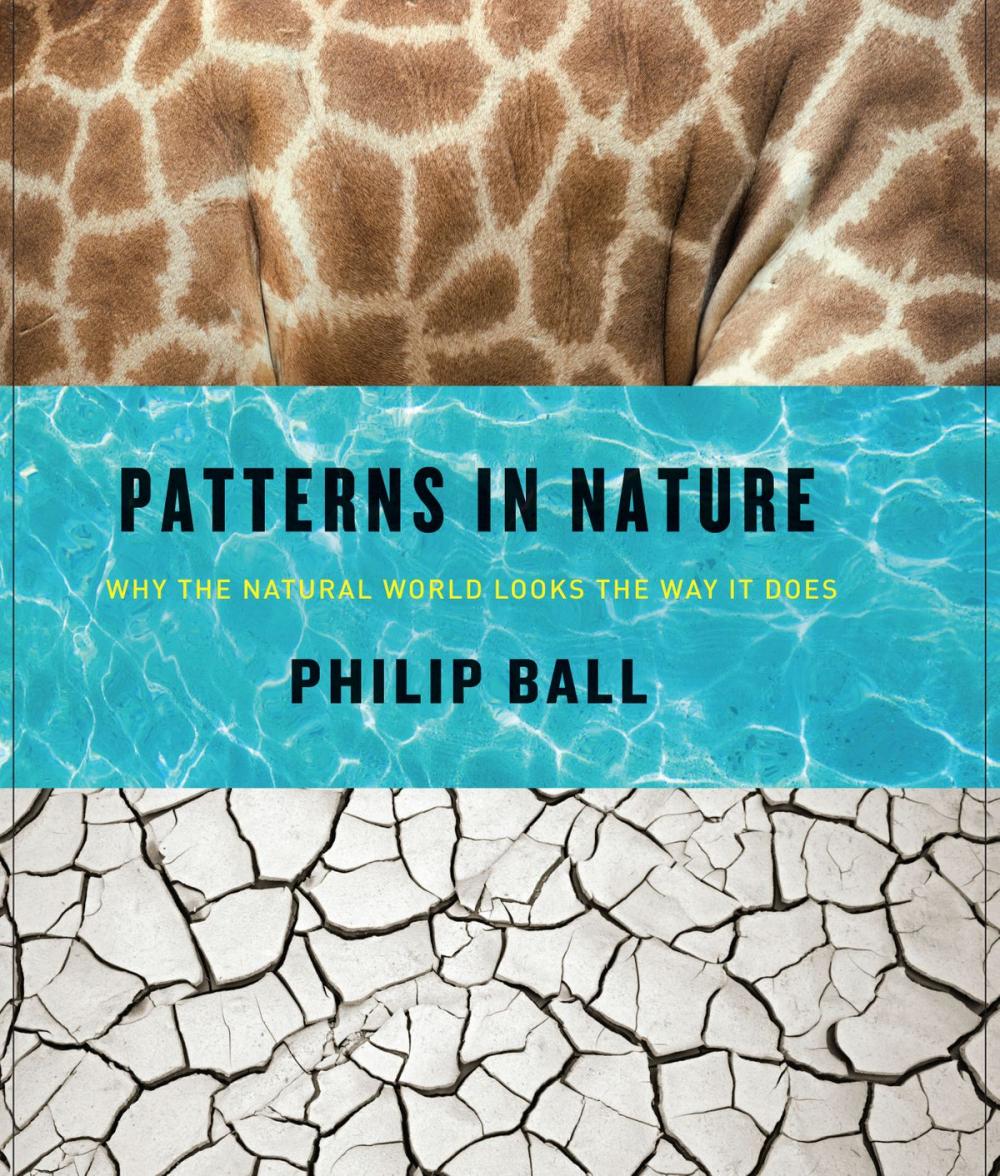 Big bigCover of Patterns in Nature